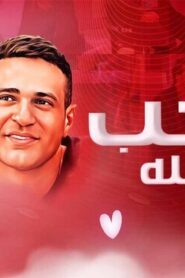 الحب بتفاصيله