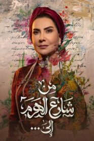 من شارع الهرم إلى…